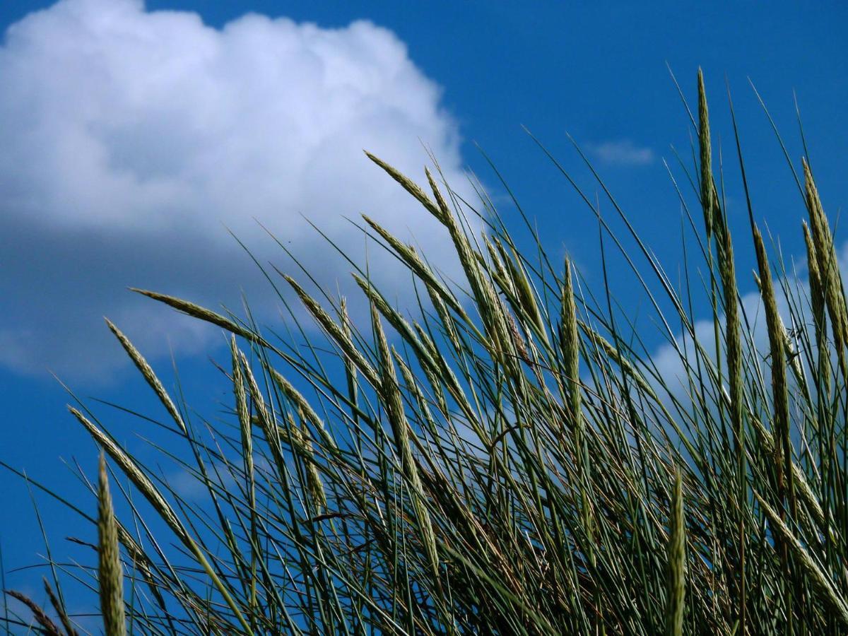 Ferienwohnung An Bord Dangast Zewnętrze zdjęcie